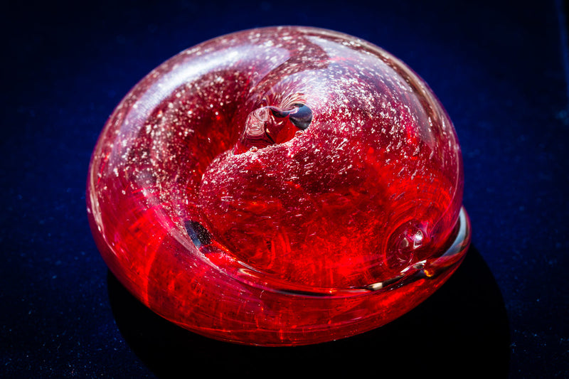 sleeping memorial cat